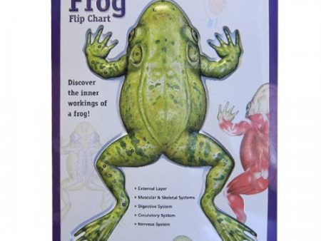 Frog Flip Chart Hot on Sale