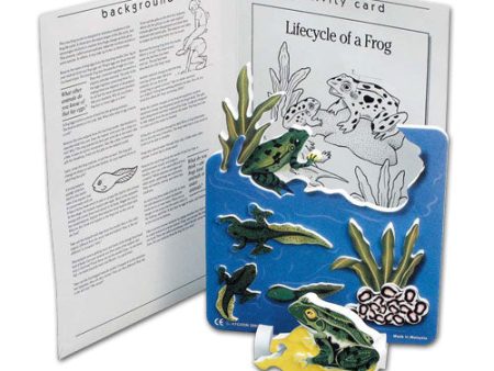 Book Plus: Lifecycle of a Frog Hot on Sale