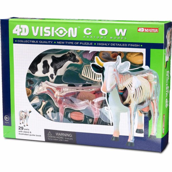 4D Vision Cow Model Hot on Sale