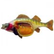 Perch Model Online Hot Sale