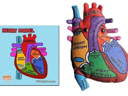 Heart: Stuffed Heart Model - Classroom Set Online