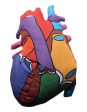 Heart: Stuffed Heart Model - Classroom Set Online