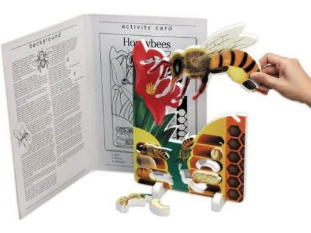 Book Plus: Lifecycle of a Honeybee For Cheap