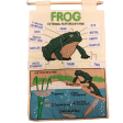 Frog Interactive Wall Chart Sale