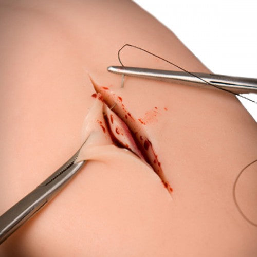 Suture Limb Online