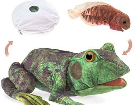 Frog Life Cycle Reversible Puppet Online Sale