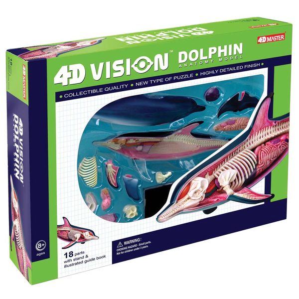 4D Vision Dolphin Model Hot on Sale