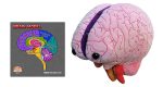 Brain: Stuffed Brain Model - Classroom Set Supply