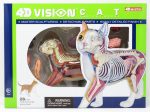 4D Vision Cat Model Sale