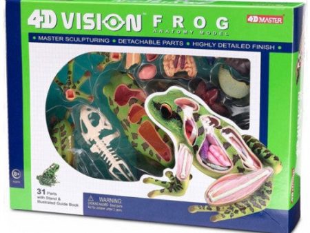 4D Vision Frog Model Cheap