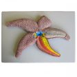 Bobbitt Starfish Model on Sale