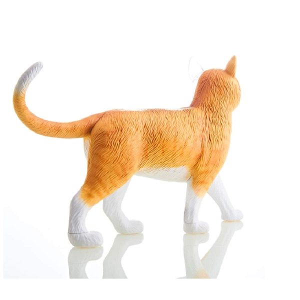 4D Vision Cat Model Sale