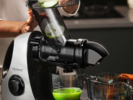 Masticating Cold Juicers 2-Speed Electric Online Hot Sale