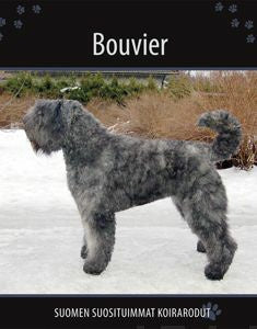 Bouvier Discount